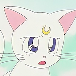 tecitoconkikyo