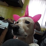 diegolelmejor