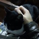 danieldon