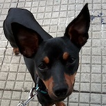 miguelarb