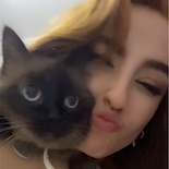 nattdv