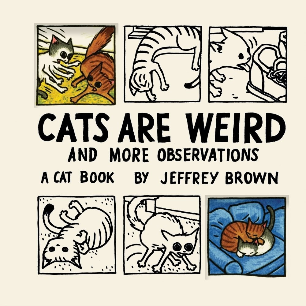 I think cats are. Комиксы реальных котов. Cats are. The Cat is the books. Jeffrey Brown.