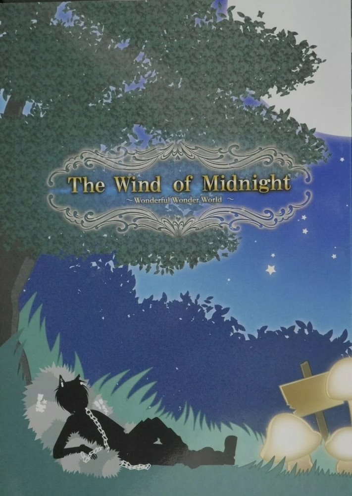 The Wind Of Midnight Wonderful Wonder World Quinrose