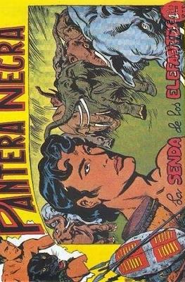 Pantera Negra / Pequeño Pantera Negra #50