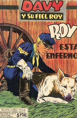 Rin-tin-tin / Davy y su fiel Roy #315