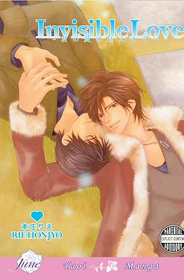 Invisible Love