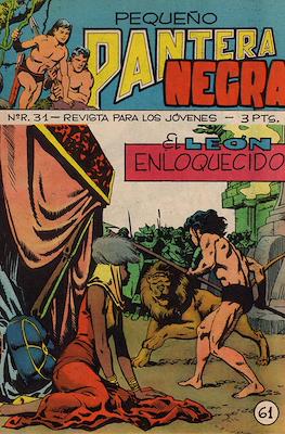 Pequeño Pantera Negra #61