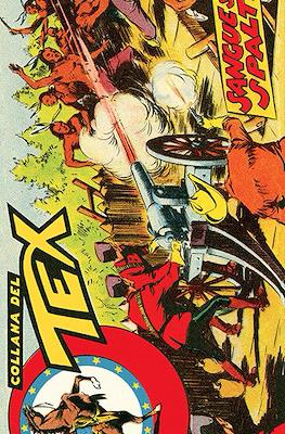Le strisce di Tex #145