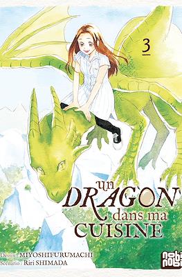 Un dragon dans ma cuisine #3