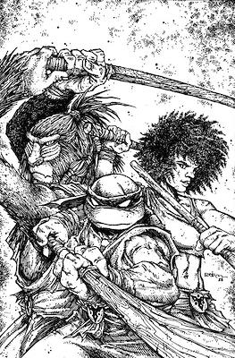 Teenage Mutant Ninja Turtles (2011-...Variant Covers) #143.3