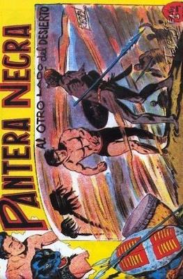 Pantera Negra / Pequeño Pantera Negra #12