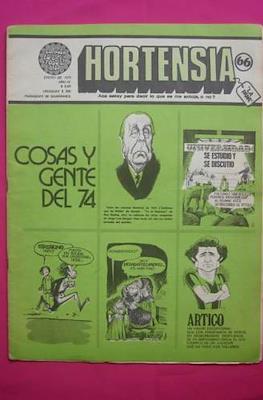 Hortensia #66
