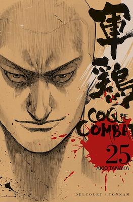 Coq de combat #25