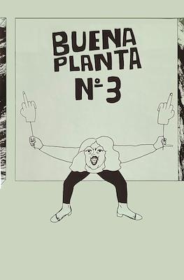 Buena planta #3