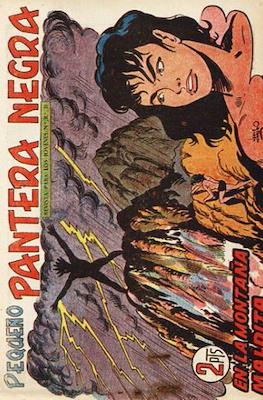 Pantera Negra / Pequeño Pantera Negra #217