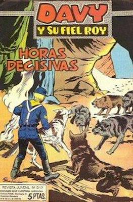 Rin-tin-tin / Davy y su fiel Roy #317