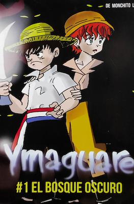 Ymaguare
