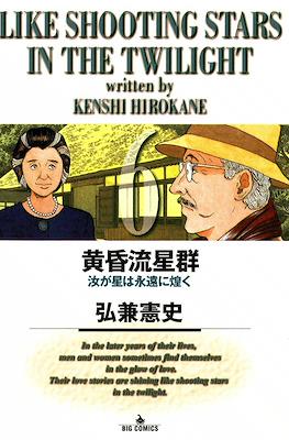Like Shooting Stars in the Twilight 黄昏流星群 #6