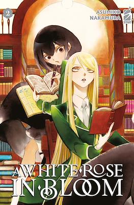 A White Rose in Bloom (Brossurato) #2