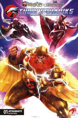 Thundercats x Silverhawks - Thunderhawks (2026)