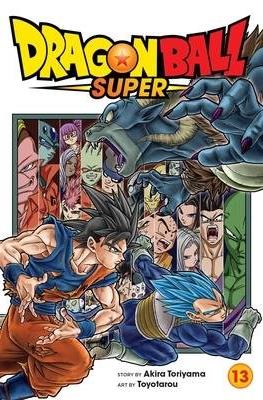 Dragon Ball Super (Softcover) #13
