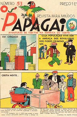 O papagaio #53