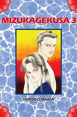 Mizukagekusa #3