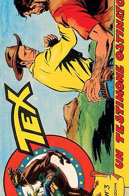 Le strisce di Tex #411