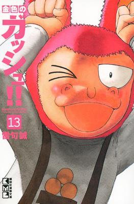 金色のガッシュ!! (Konjiki no Gash Bell!!) (Rústica) #13