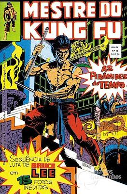 Mestre do Kung Fu #29