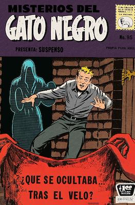 Misterios del gato negro #95