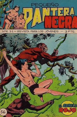 Pequeño Pantera Negra #56