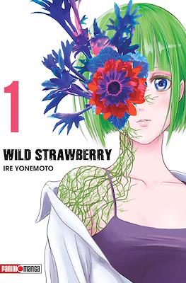 Wild Strawberry