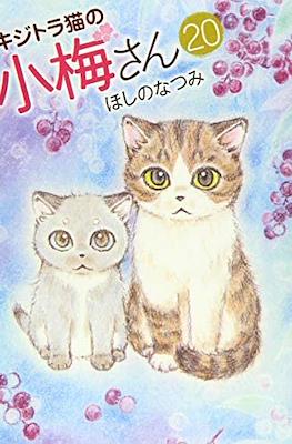 キジトラ猫の小梅さん 虎斑猫小梅 (Kijitora Neko no Koume-san) #20