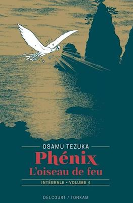 Phénix - L'oiseau de feu #4