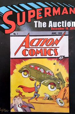 Supernan The Auction 2017
