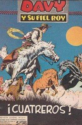 Rin-tin-tin / Davy y su fiel Roy #311