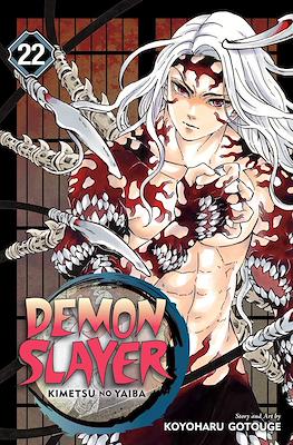 Demon Slayer: Kimetsu no Yaiba (Softcover) #22