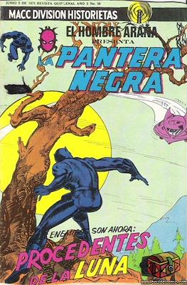 La Pantera Negra #36
