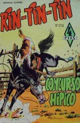 Rin-tin-tin / Davy y su fiel Roy #238