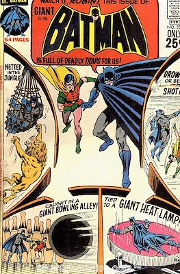 Batman Vol. 1 (1940-2011) #228