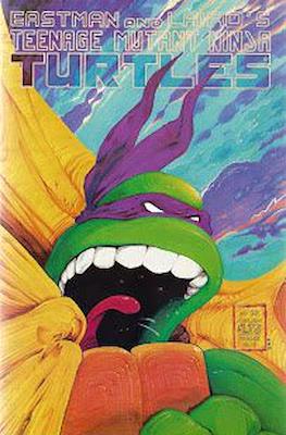Teenage Mutant Ninja Turtles Vol.1 #22