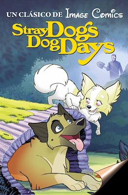 Stray Dogs (Portadas variantes) (Rústica) #2