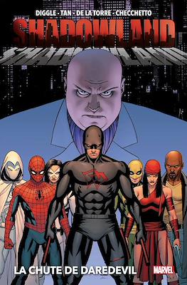 Shadowland: La chute de Daredevil