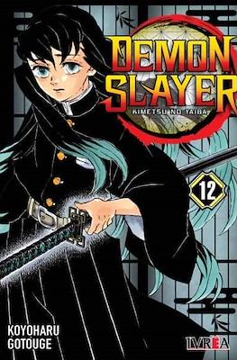 Demon Slayer: Kimetsu no Yaiba #12
