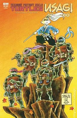 Teenage Mutant Ninja Turtles / Usagi Yojimbo (Variant Cover) #1.3