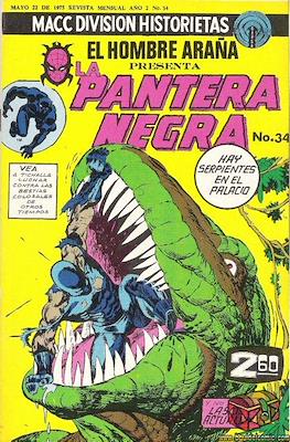 La Pantera Negra #34