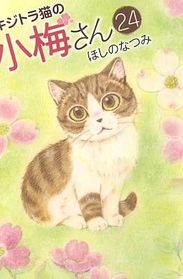 キジトラ猫の小梅さん 虎斑猫小梅 (Kijitora Neko no Koume-san) #24
