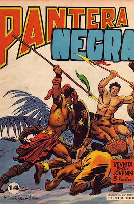 Pantera Negra #14