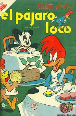 El pájaro loco #36